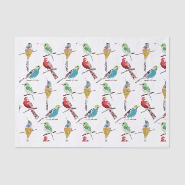Colorful Set of Hand-Drawn Birds Pattern Tissue Paper (Front)