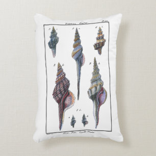 Colorful Seven Seashells Accent Pillow