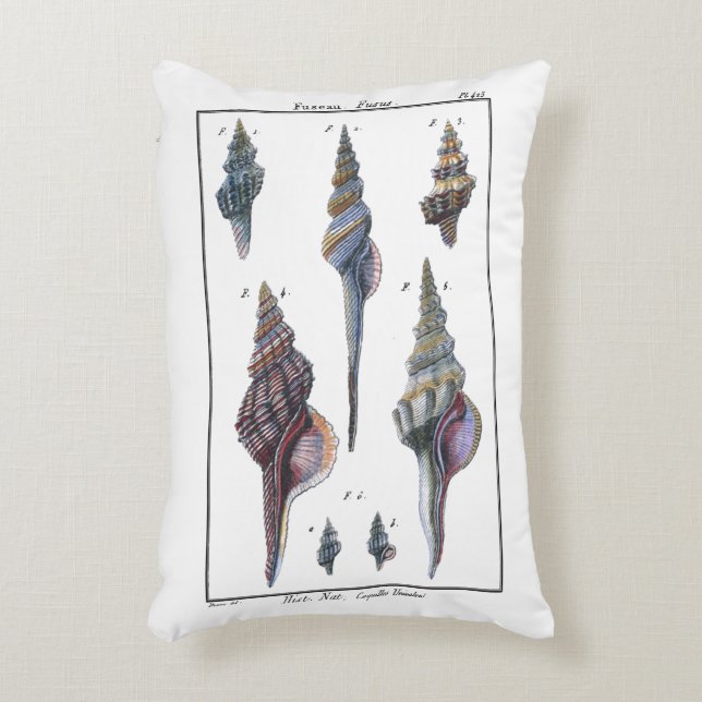 Colorful Seven Seashells Accent Pillow (Front(Vertical))