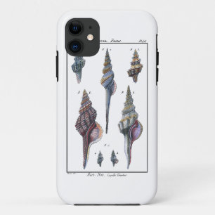 Colorful Seven Seashells iPhone 11 Case