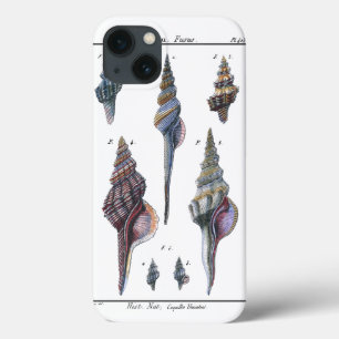 Colorful Seven Seashells iPhone 13 Case