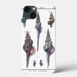 Colorful Seven Seashells iPhone 13 Case