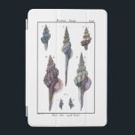 Colorful Seven Seashells iPad Mini Cover<br><div class="desc">Artist Denis Diderot is talented and known for his great sea life images. In this vivid image, he captures Seven colorful Conch seashells in their most natural and unique styles. Conches are often crackled and come in all shape and sizes. Get your seashell product today and enjoy image the ocean...</div>