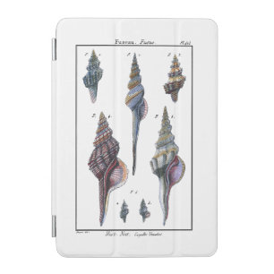 Colorful Seven Seashells iPad Mini Cover
