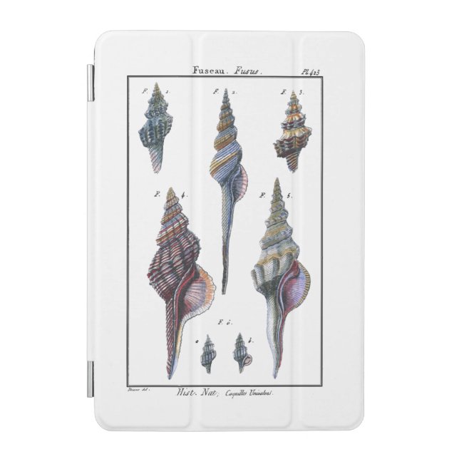 Colorful Seven Seashells iPad Mini Cover (Front)