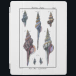 Colorful Seven Seashells iPad Smart Cover<br><div class="desc">Artist Denis Diderot is talented and known for his great sea life images. In this vivid image, he captures Seven colorful Conch seashells in their most natural and unique styles. Conches are often crackled and come in all shape and sizes. Get your seashell product today and enjoy image the ocean...</div>