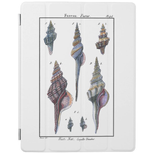 Colorful Seven Seashells iPad Smart Cover (Front)