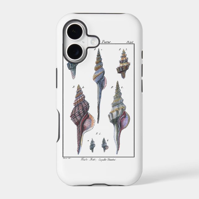 Colorful Seven Seashells Iphone Case (Back)