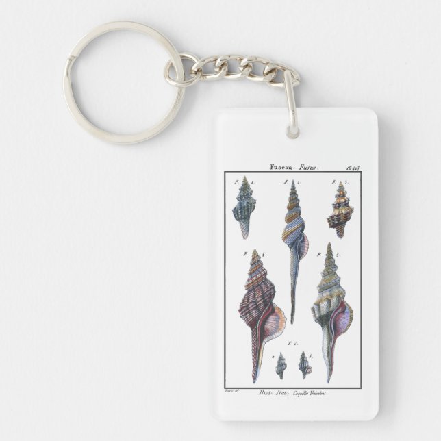 Colorful Seven Seashells Keychain (Front)