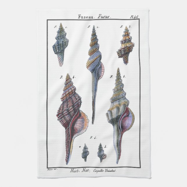 Colorful Seven Seashells Kitchen Towel (Vertical)