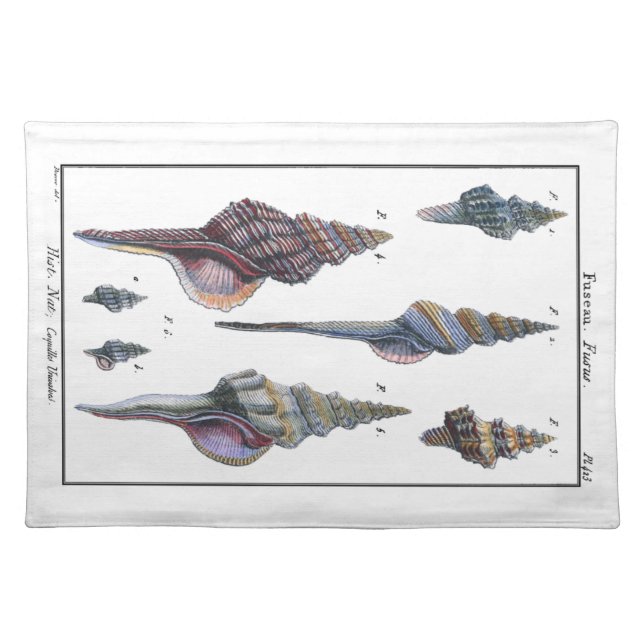 Colorful Seven Seashells Placemat (Front)