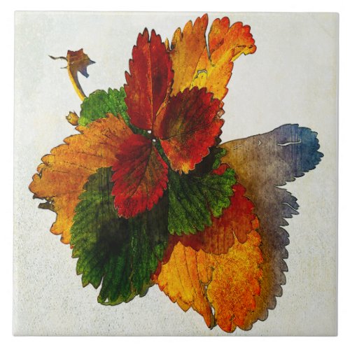 Colorful shades of autumn leaves   ceramic tile