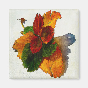 Colorful shades of autumn leaves magnet