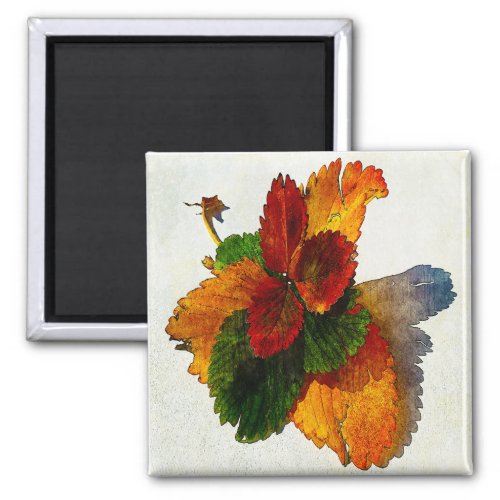 Colorful shades of autumn leaves  magnet
