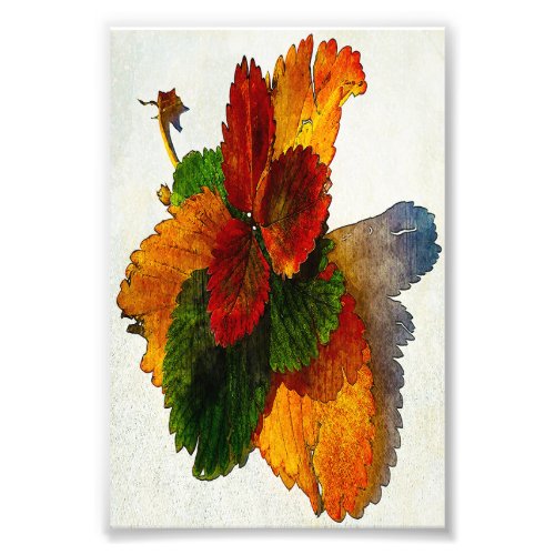 Colorful shades of autumn leaves  photo print