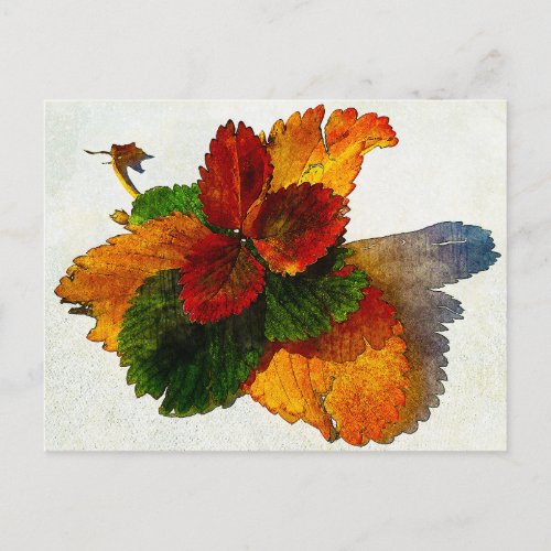 Colorful shades of autumn leaves postcard