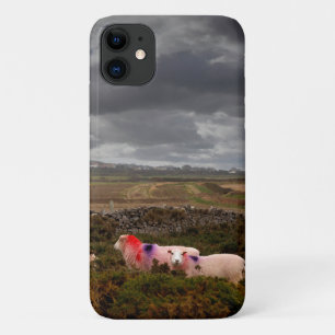 Colorful sheep iPhone 11 case