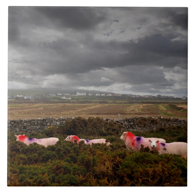 Colorful sheep ceramic tile (Front)