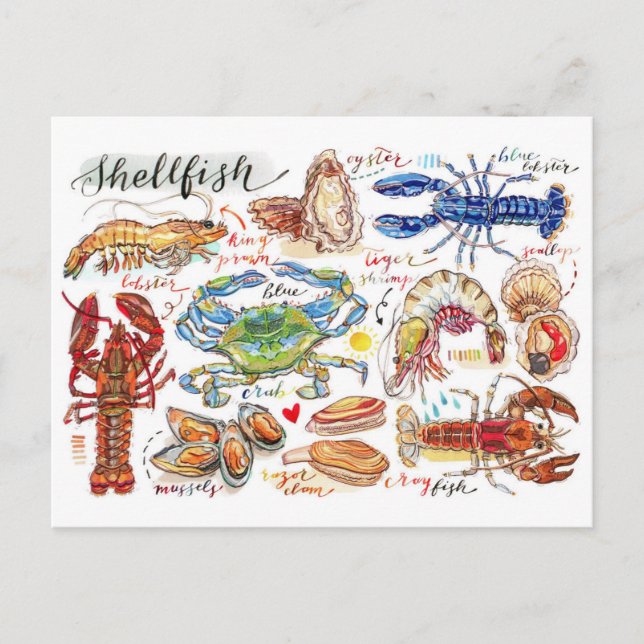 Colorful Shellfish Postcard (Front)