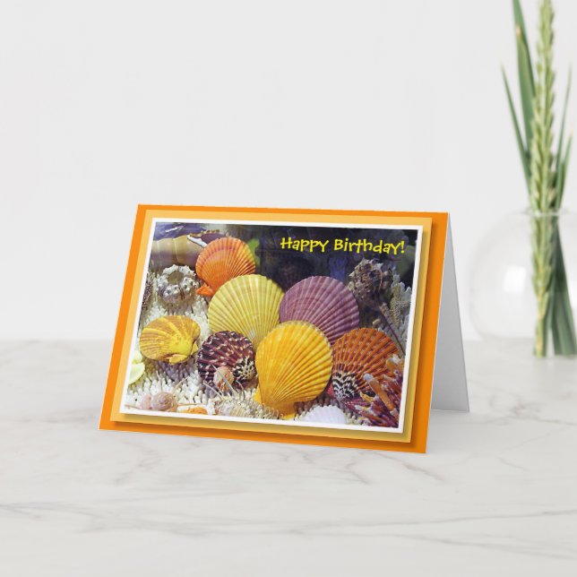 Colorful Shells Birthday Card (Front)