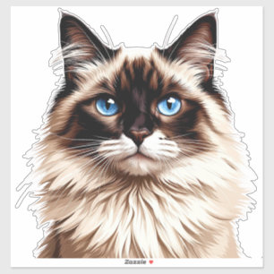 Colorful Siamese Cat Illustration Sticker