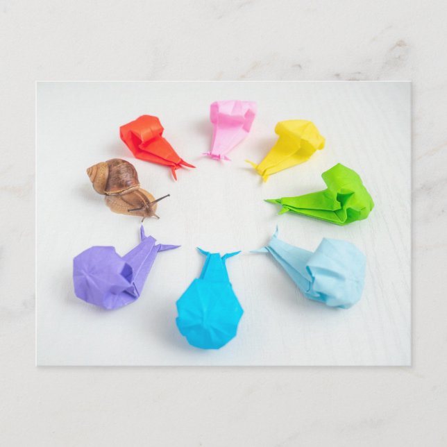 Colorful Snails Postcard (Front)