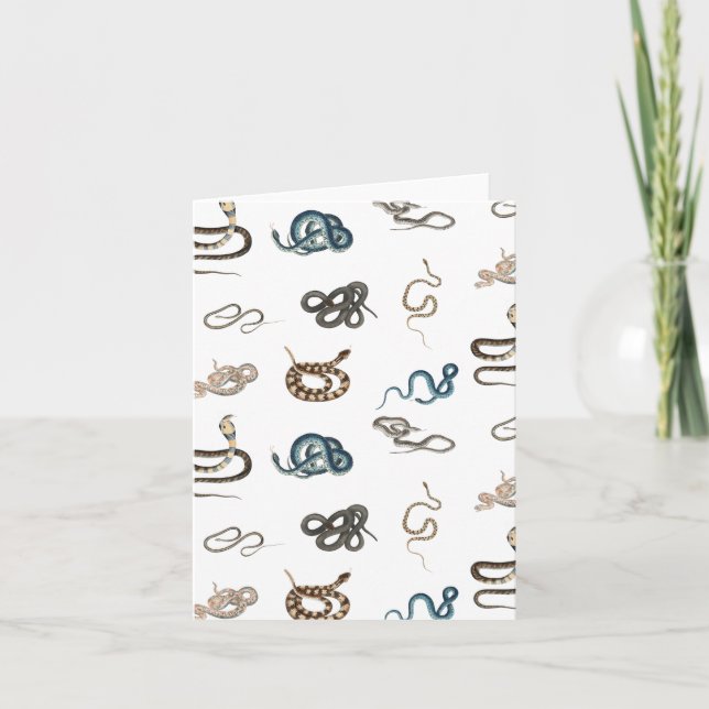 Colorful Snakes Reptile Animal Pattern Card (Front)