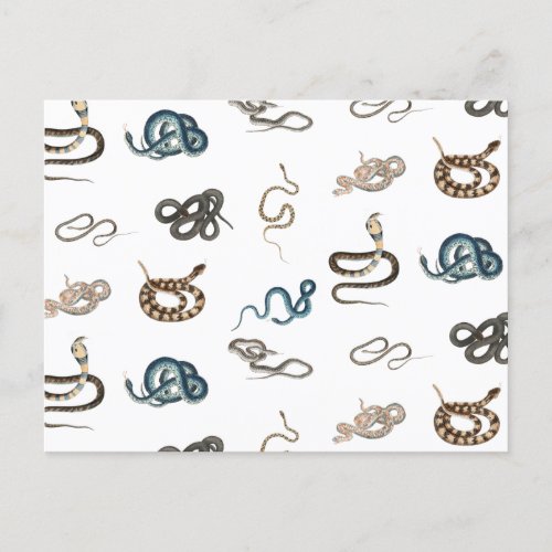 Colorful Snakes Reptile Animal Pattern Holiday Postcard