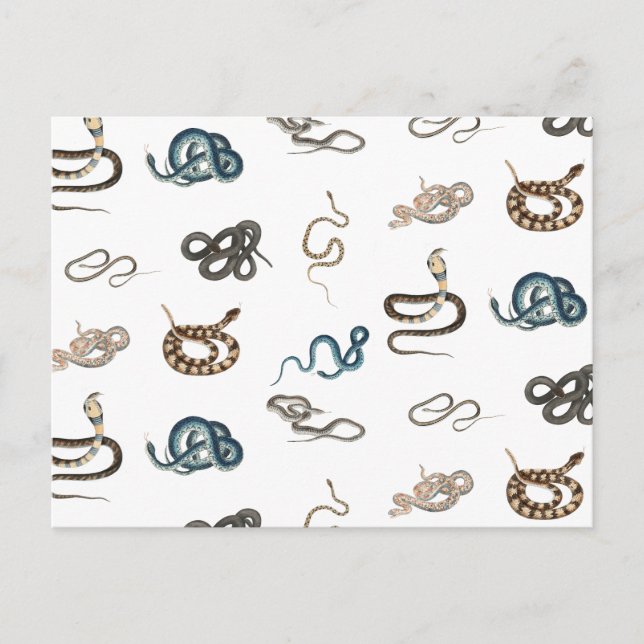 Colorful Snakes Reptile Animal Pattern Holiday Postcard (Front)