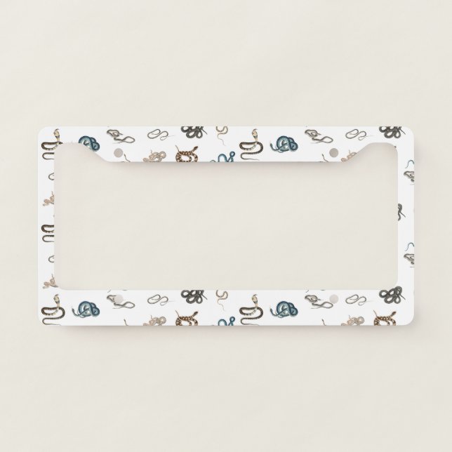 Colorful Snakes Reptile Animal Pattern License Plate Frame (Front)