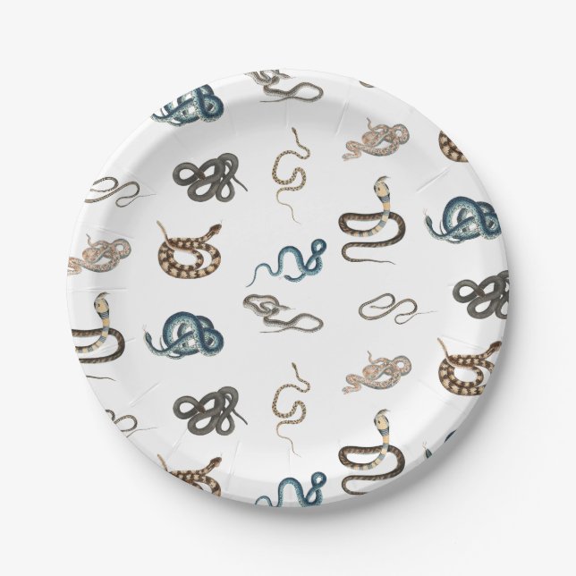 Colorful Snakes Reptile Animal Pattern Paper Plates (Front)