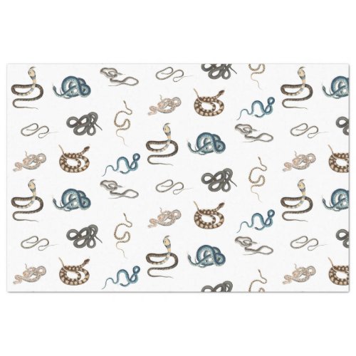 Colorful Snakes Reptile Animal Pattern Tissue Paper