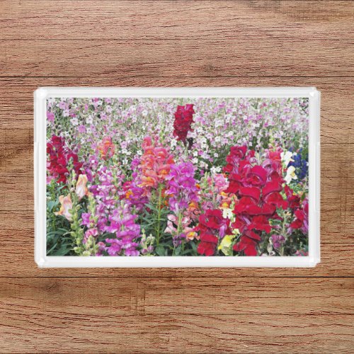 Colorful Snapdragon Garden Floral Acrylic Tray