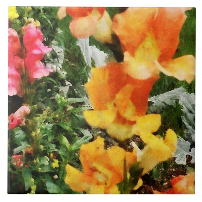 Colorful Snapdragons Ceramic Tile (Front)