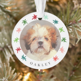 Colorful Snowflakes Pet 2 Photo Christmas Ornament