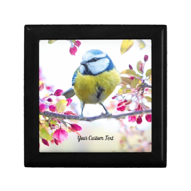Colorful Songbird & Spring Blossoms, Your Message Gift Box (Front)