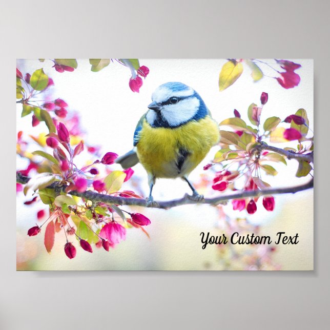 Colorful Songbird & Spring Blossoms, Your Message Poster (Front)