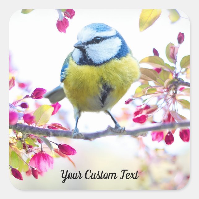 Colorful Songbird & Spring Blossoms, Your Message Square Sticker (Front)