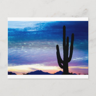 Colorful Southwest Desert Sunrise Postcard
