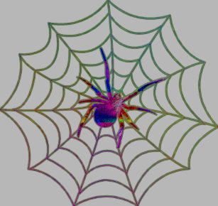 rlv zcache com colorful spider web design t shirt