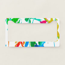 Colorful spider webs