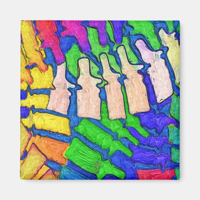 Colorful Spine Art Magnet (Front)