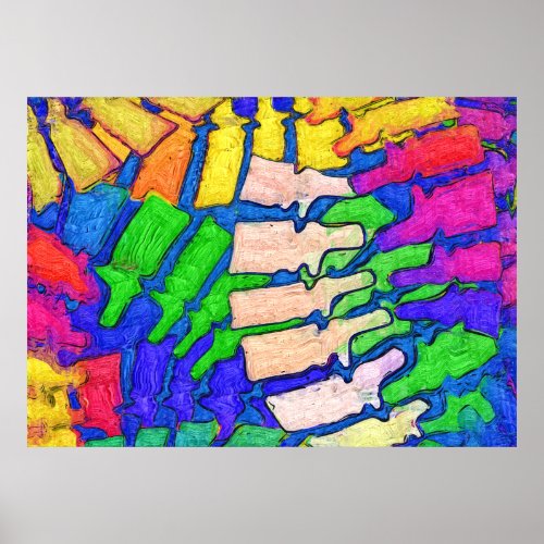 Colorful Spine Art Poster (Horizontal)