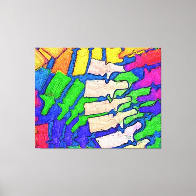 Colorful Spine Art Wrapped Canvas Print (Front)
