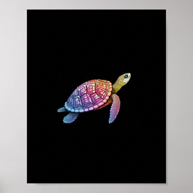 Colorful Splash Eastern Box Turtle (3) Poster (Front)