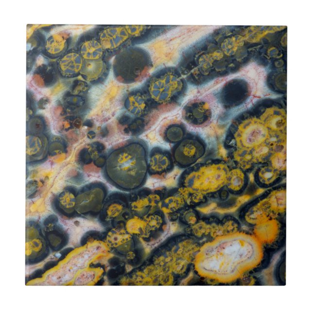 Colorful Spotted Ocean Jasper Ceramic Tile (Front)