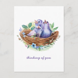 Colorful Spring Baby Birds in Nest Thinking of You Postcard