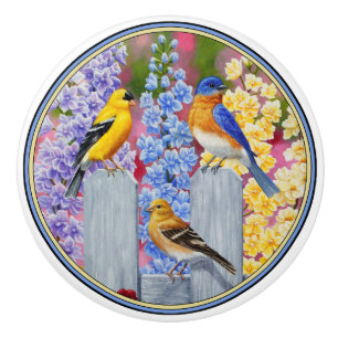 Colorful Spring Birds Garden Party Ceramic Knob