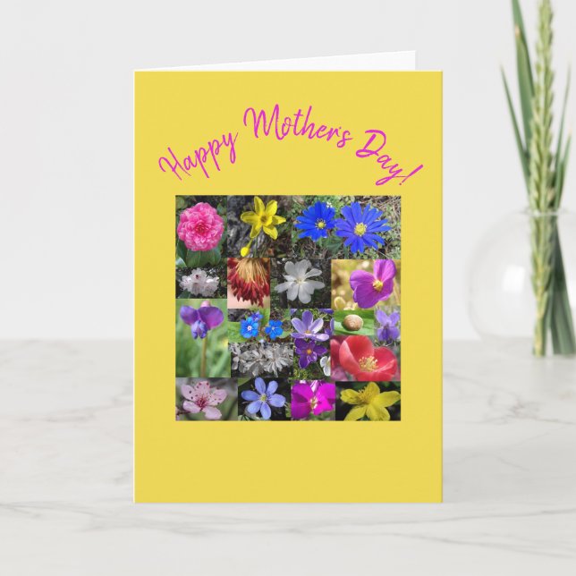 colorful spring - card (Front)