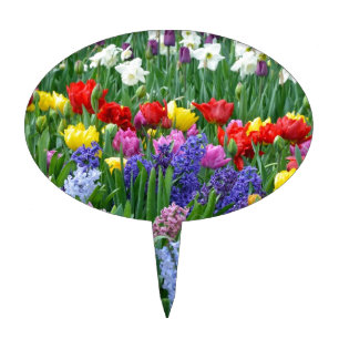 Colorful spring flower garden cake topper